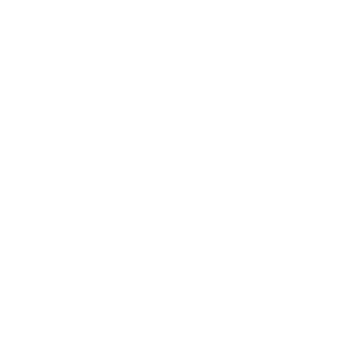 Max Icon